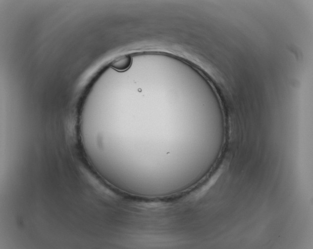 X0000113851502200910081635