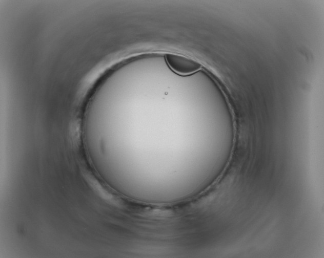 X0000113851503200910081635