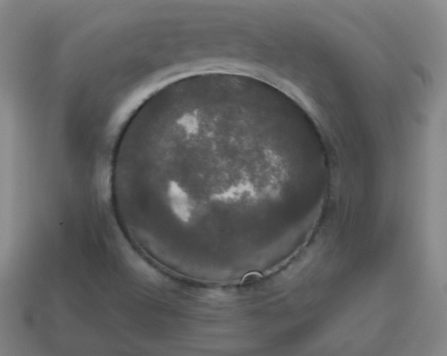 X0000113851504200910081635