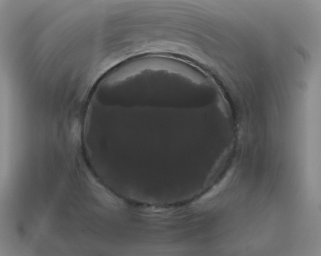 X0000113851505200910081635