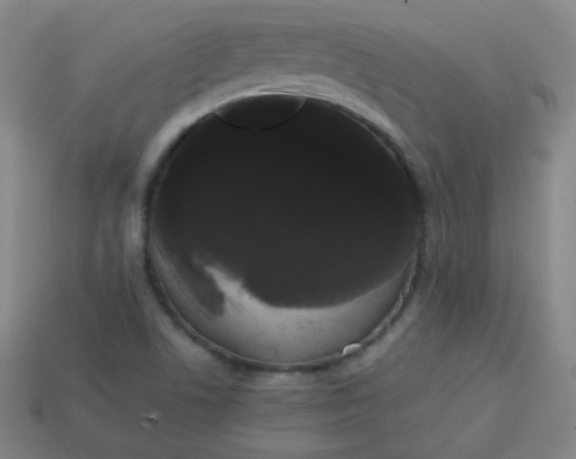 X0000113851506200910081635