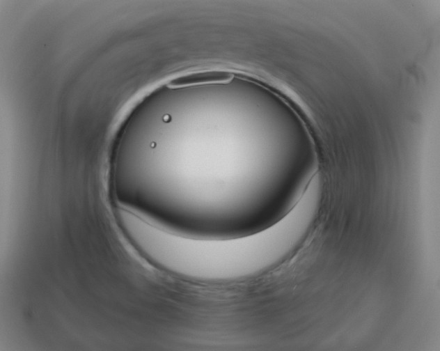 X0000113851508200910081635