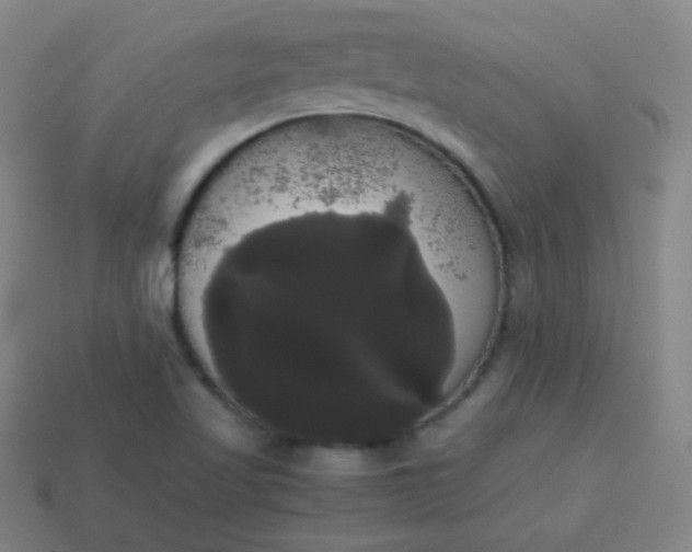 X0000113851509200910081635