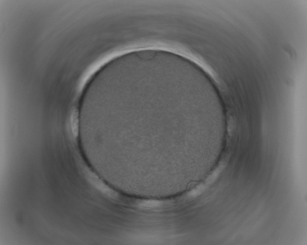 X0000113851510200910081635