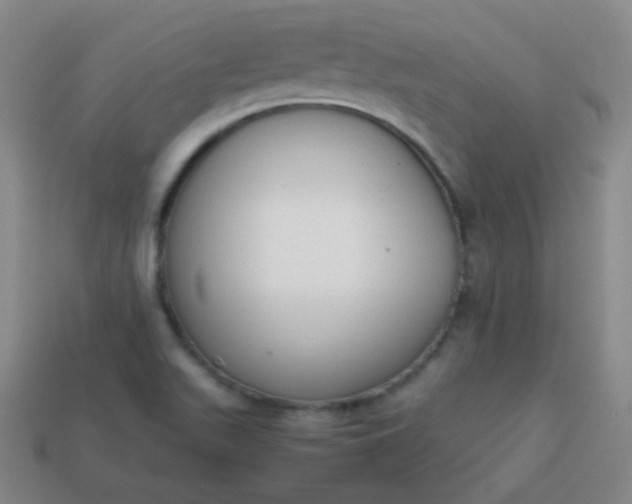 X0000113851511200910081635