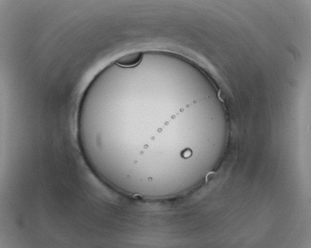 X0000113851512200910081635