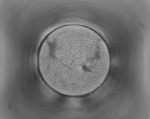 X0000113851514200910081635