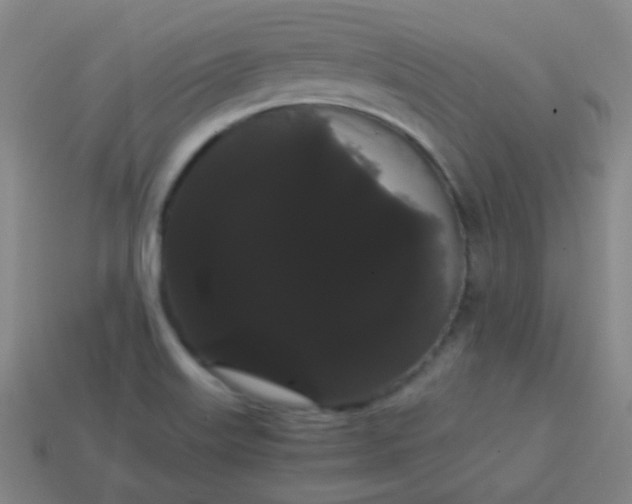 X0000113851515200910081635