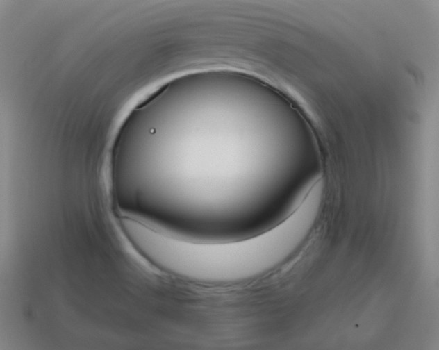 X0000113851516200910081635