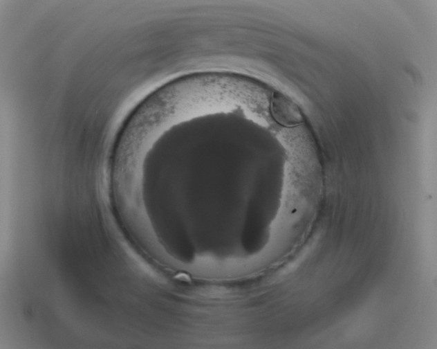 X0000113851517200910081635