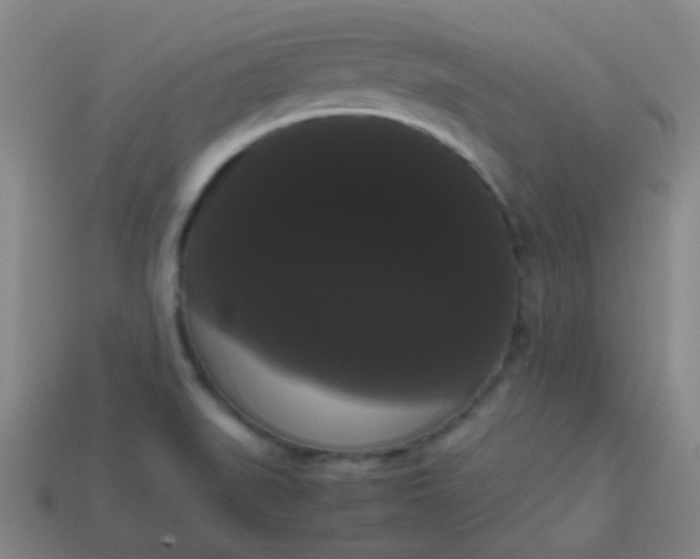 X0000113851519200910081635