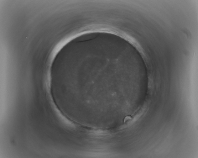 X0000113851520200910081635