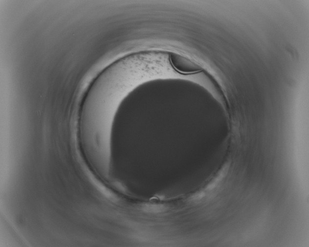 X0000113851525200910081635