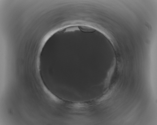 X0000113851527200910081635