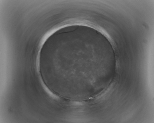 X0000113851528200910081635