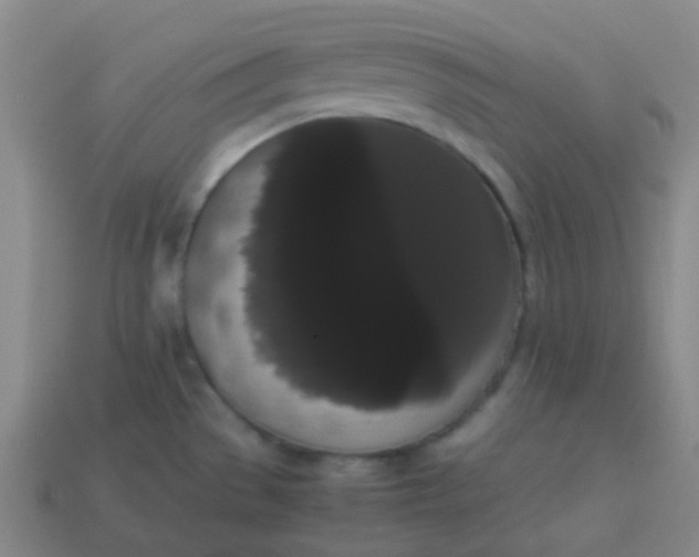 X0000113851529200910081635