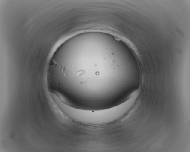 X0000113851530200910081635