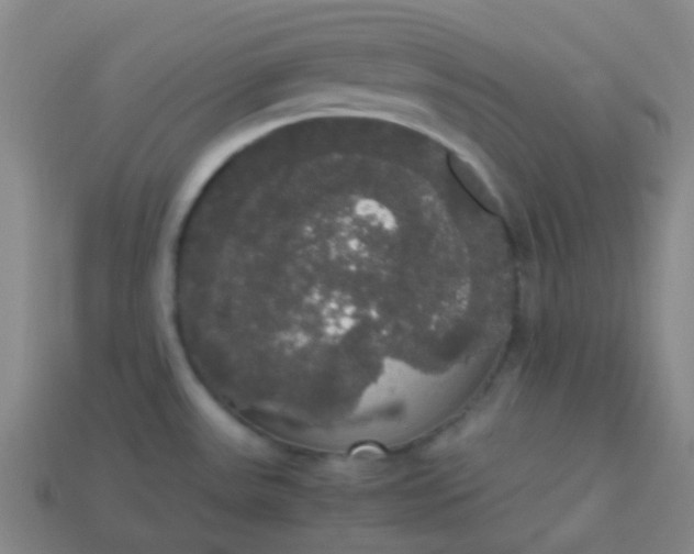 X0000113851531200910081635