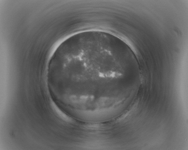 X0000113851532200910081635