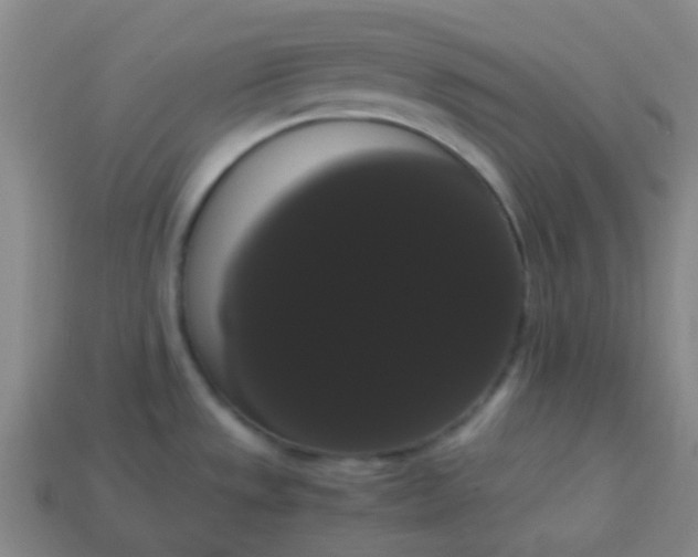 X0000113851533200910081635