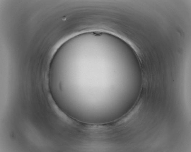 X0000113851534200910081635