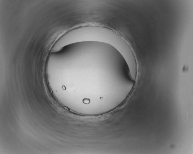 X0000113850001200910151223