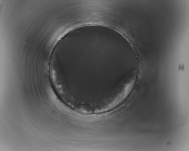 X0000113850002200910151223