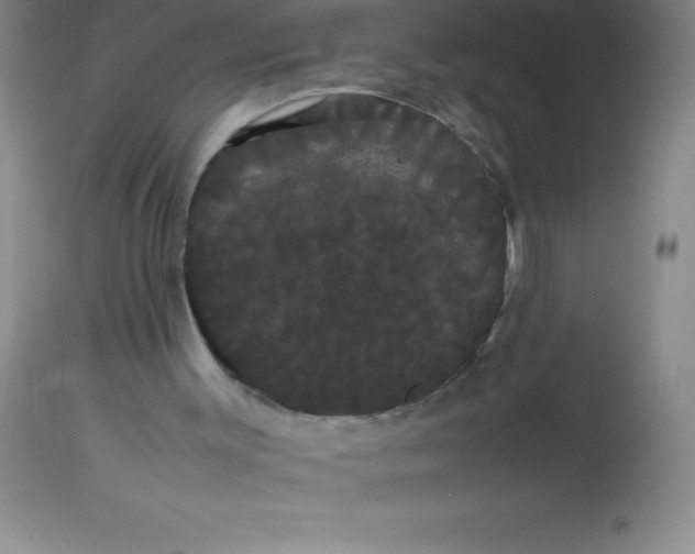 X0000113850003200910151223