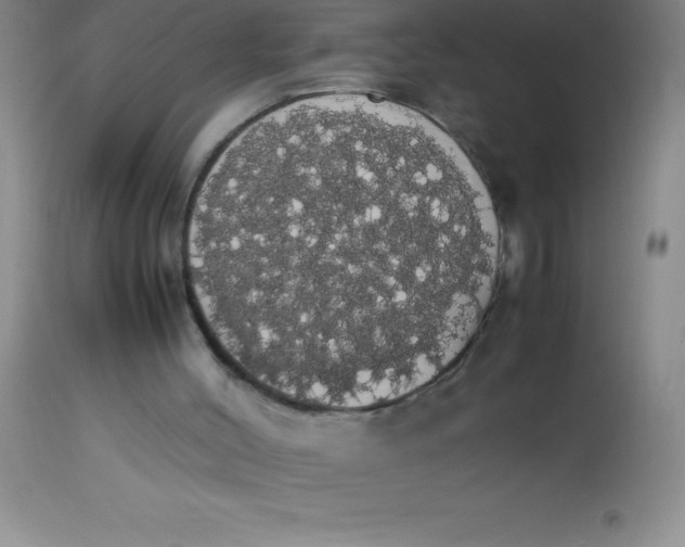 X0000113850004200910151223