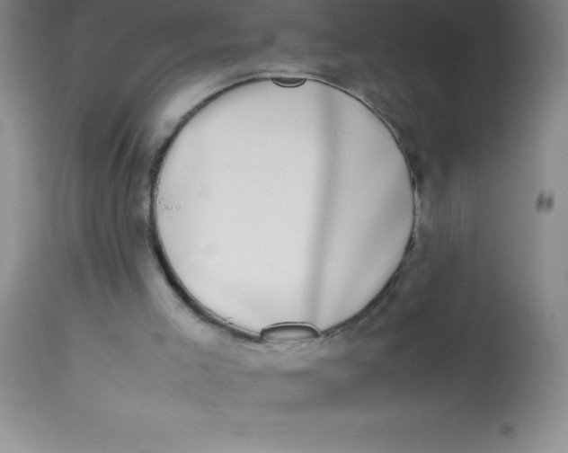 X0000113850005200910151223