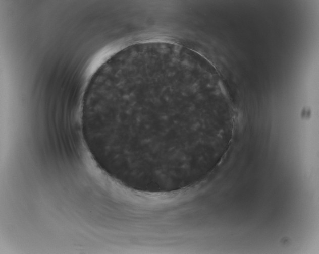 X0000113850006200910151223