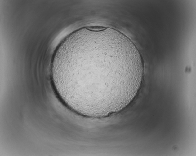 X0000113850007200910151223