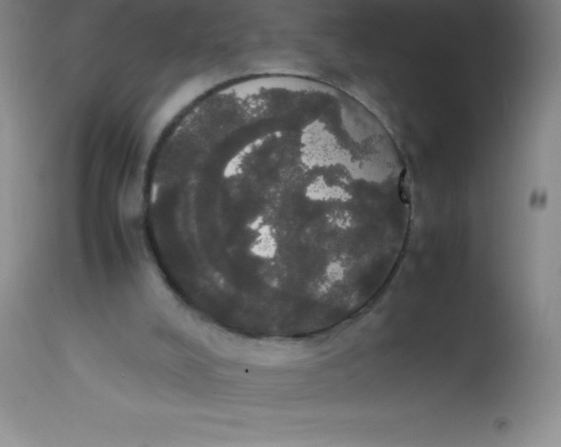 X0000113850008200910151223