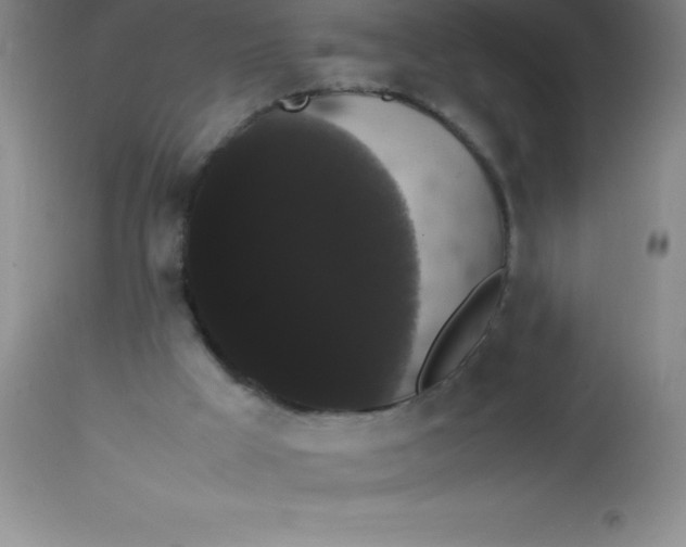 X0000113850009200910151223