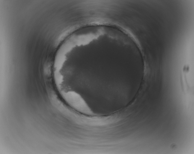 X0000113850010200910151223