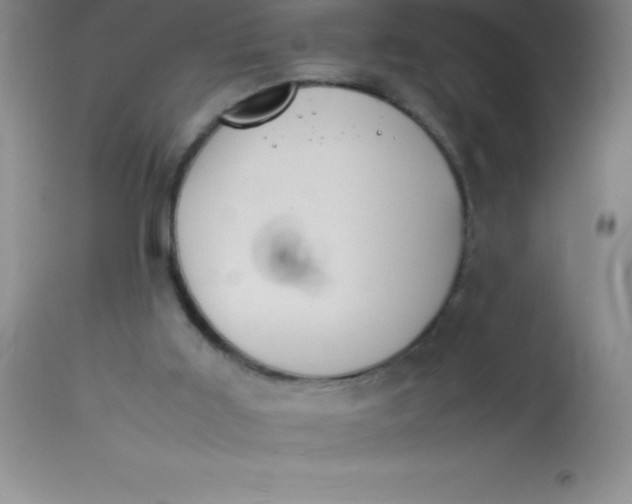 X0000113850011200910151223