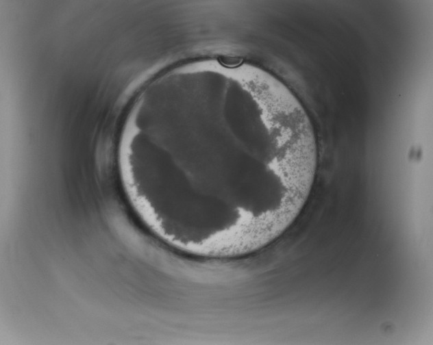 X0000113850012200910151223