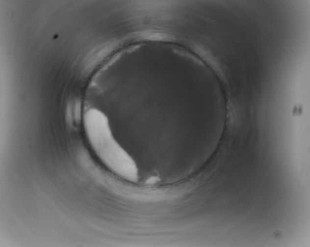 X0000113850014200910151223