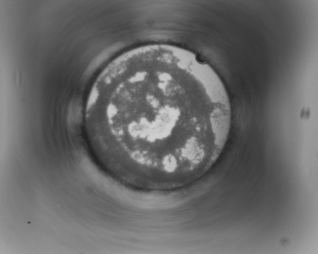 X0000113850016200910151223