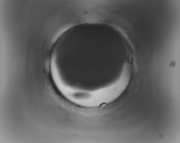 X0000113850019200910151223