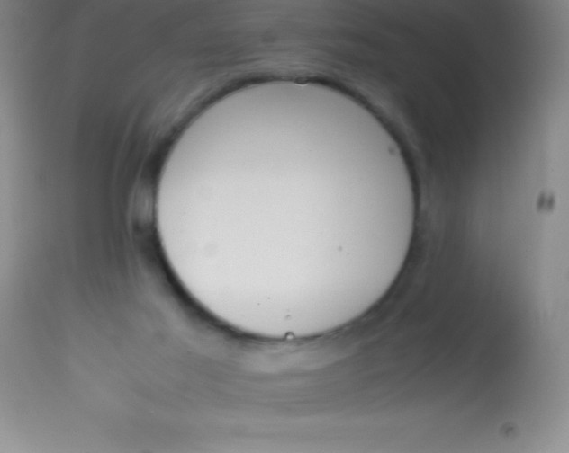 X0000113850021200910151223