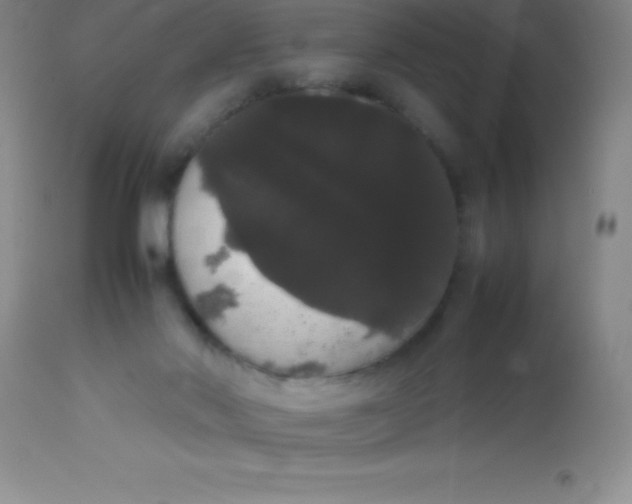 X0000113850022200910151223