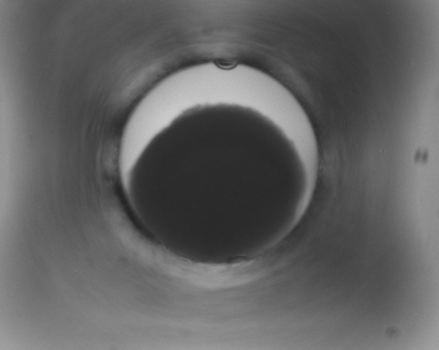 X0000113850023200910151223