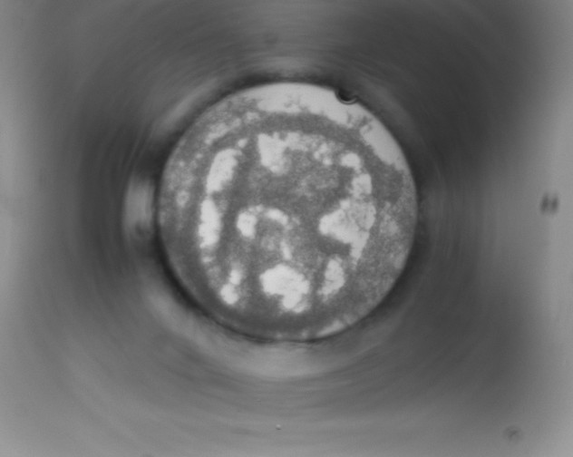 X0000113850024200910151223