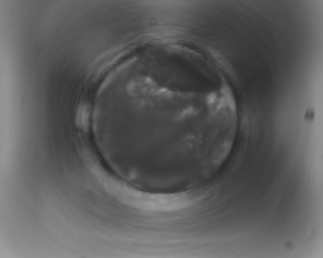 X0000113850026200910151223