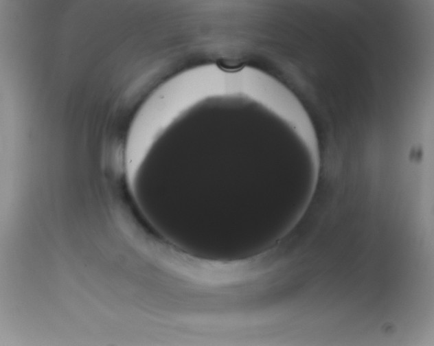 X0000113850027200910151223