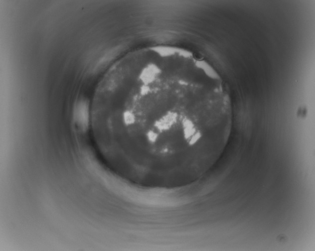 X0000113850028200910151223