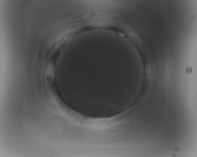 X0000113850029200910151223