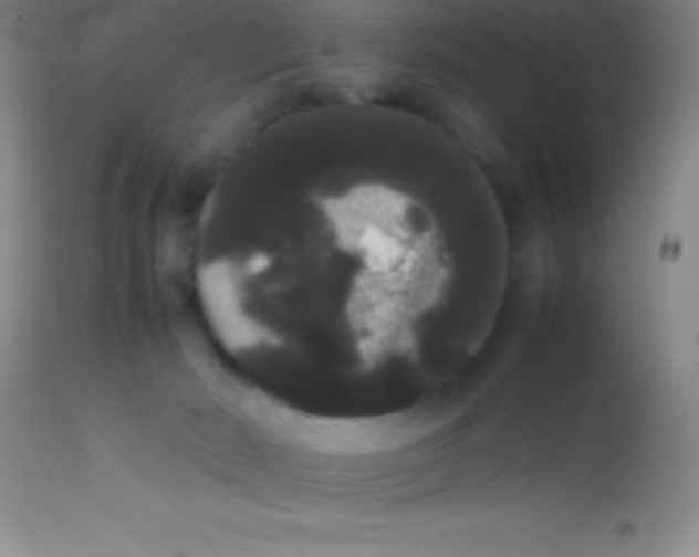 X0000113850030200910151223