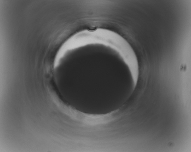 X0000113850031200910151223